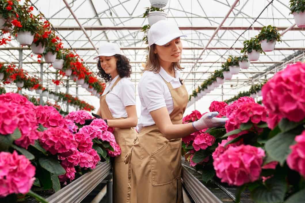 Jak skutecznie przygotować się do pracy w magazynie kwiatów w Holandii?